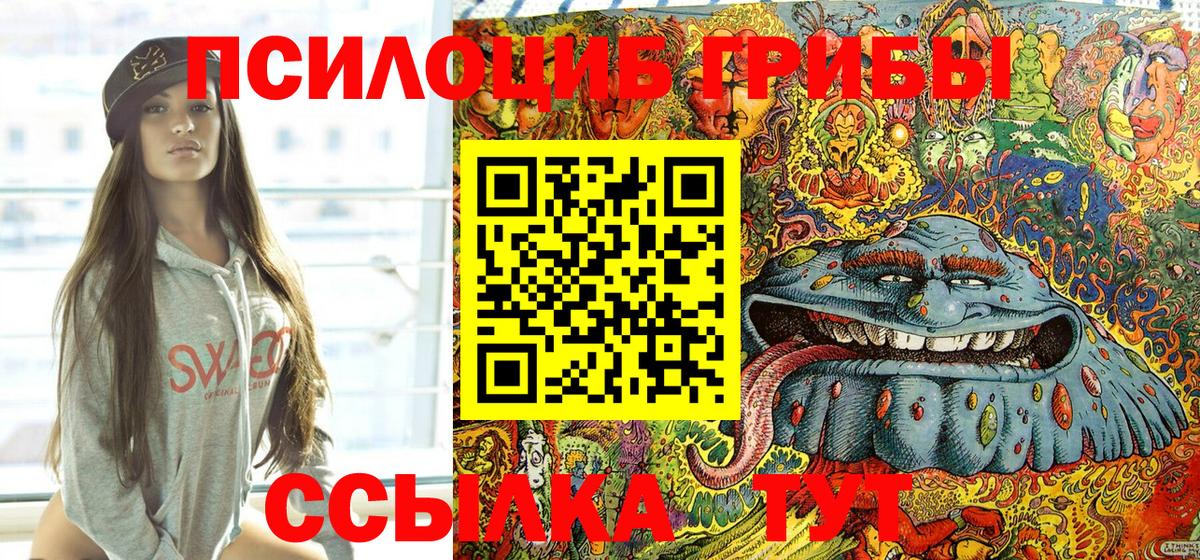Галлюциногенные грибы Psilocybine cubensis Павловский Посад